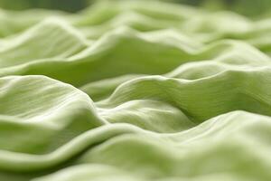A close up of a green leafy fabric photo