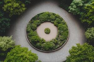 An aerial view of a circular garden with trees photo