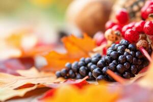 Autumn fruits and berries on a table with leaves photo