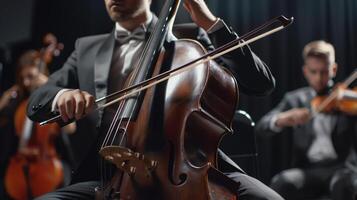 The Orchestra Performance Highlights photo