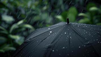 The black umbrella in rain photo