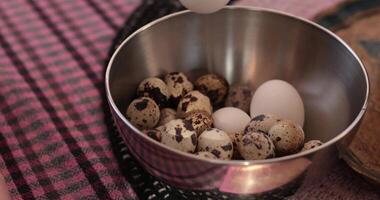 Preparation process for boiling chicken and quail eggs before engaging in painting Easter eggs to create colorful decorations and festive designs. video