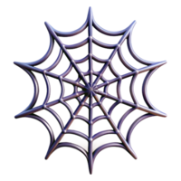 elegant minimalist A spider web, intricate and delicate, authentic png