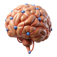 extraordinary creative High-resolution 3D model of a human brain with neural pathways highlighted detailed png