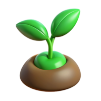 wonderful classic A green sprout emerging from a seed professional png