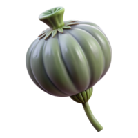 extraordinary minimalist Poppy seed pod high quality png
