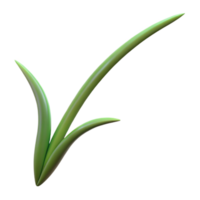 dramatic abstract Single blade of grass authentic png