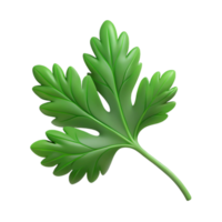 impressive rustic Parsley leaf genuine png