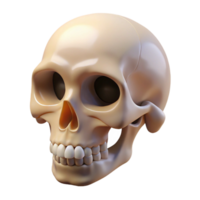 impressive rustic Human skull, bone structure, empty sockets, genuine png