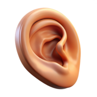 stunning abstract Portrait of an ear with unique characteristics, authentic png