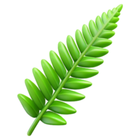 serene abstract Fresh green fern frond authentic png