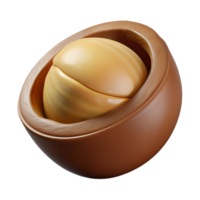 dramatic artistic Macadamia nut in shell high resolution png