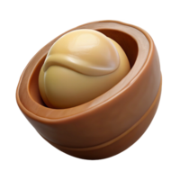 extraordinary rustic Macadamia nut in shell genuine png