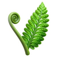 beautiful artistic Green fern frond unfurling high resolution png