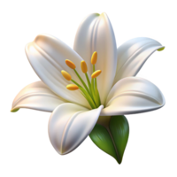 extraordinary creative One lily flower, white high resolution png
