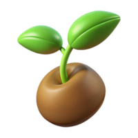 stunning minimalist Cashew nut high resolution png