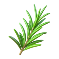 impressive rustic Single rosemary sprig 4K png