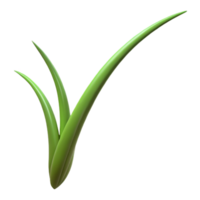 impressive abstract Single blade of grass original png