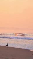 lindo Visão do grande ondas dentro lento movimento em a de praia video