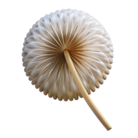 elegant abstract Single dandelion seed head authentic png