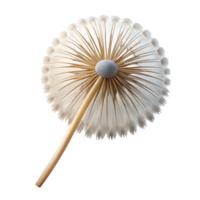 impressive modern Single dandelion seedhead authentic png