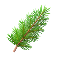 vibrant modern Single fir tree branch with needles authentic png