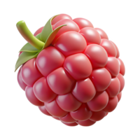 dramatic modern Single raspberry authentic png