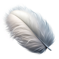 beautiful minimalist Feather, white and fluffy genuine png