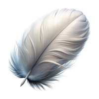 beautiful abstract Feather, white and fluffy professional png