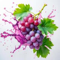 Fresh Purple Grapes with Juice Splash on White Background photo