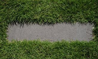 green grass with stone for copy space banner photo