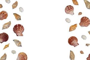beach background with seashells decoration for copy space photo