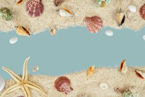 summer beach copy space with shell decoration photo