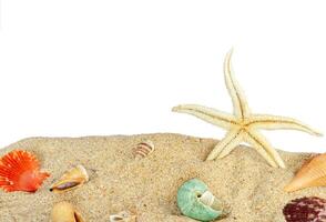 starfish with seashells on a beach sand border isolated photo