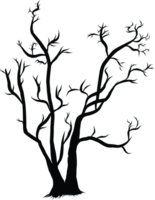 Silhouette of Bare Tree Branches on a Transparent Background png