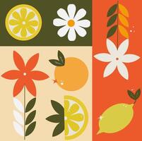 set of summer illustrations vector