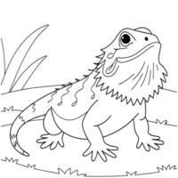 Black and white illustration of a bearded dragon coloring page. vector