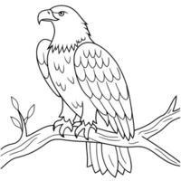 Outlined eagle perched on a branch, ready for coloring. vector