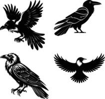 crow setting on a branch line art silhouette vector