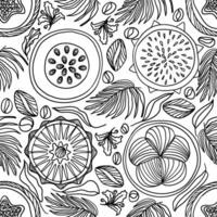Tropical seamless pattern with fruits and leaves in doodle technique vector