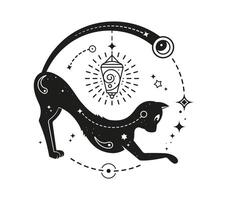 Black magic cat with cosmic patterns and symbols vector