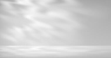 White empty room bg, abstract studio limbo light vector