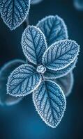 Frosted leaves display delicate, intricate patterns while reflecting the soft blue hues of a serene winter morning. Nature's artistry shines amidst the chill photo