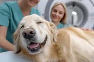 Two veterinarians are gently preparing a relaxed golden retriever for an MRI procedure. The setting emphasizes the importance of animal healthcare and diagnostic imaging for pet well-being photo