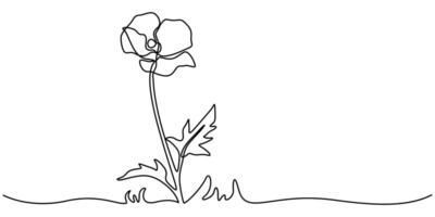 Poppy flower continuous one line drawing Poppy flowers in continuous line art vector