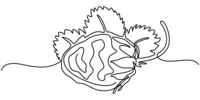Strawberry color illustration background banner continuous one line drawing vector