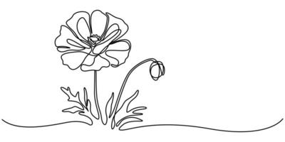 Poppy continuous one line drawing abstract flower continuous line minimalist contour drawing of poppy seed vector