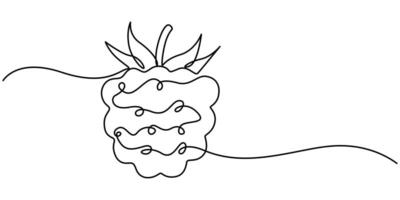 Raspberry continuous one line drawing fruit illustration vector