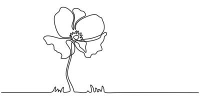 Poppy flower continuous one line drawing illustration vector