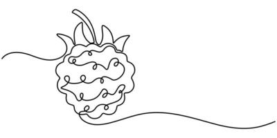 Raspberry one continuous line drawing of raspberry with lettering editable black stroke vector